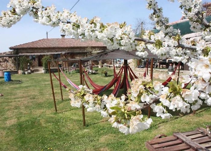 La Casa Del Camino *